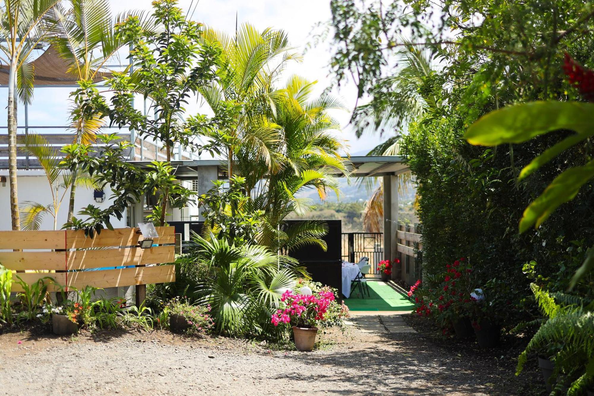 Eclats D'Etoiles - Rooftop - Piscine - By Sister Home Saint Pierre Bagian luar foto